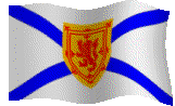 ns-flag1